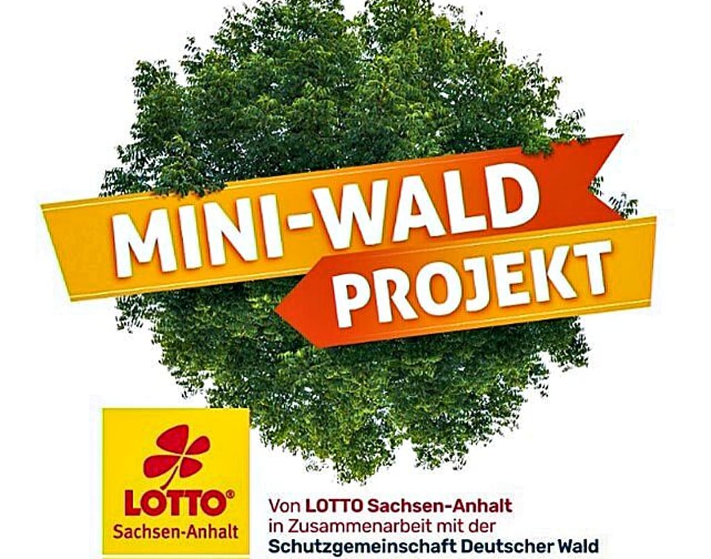 Mini-Wälder als neues Sonder-Förderprogramm