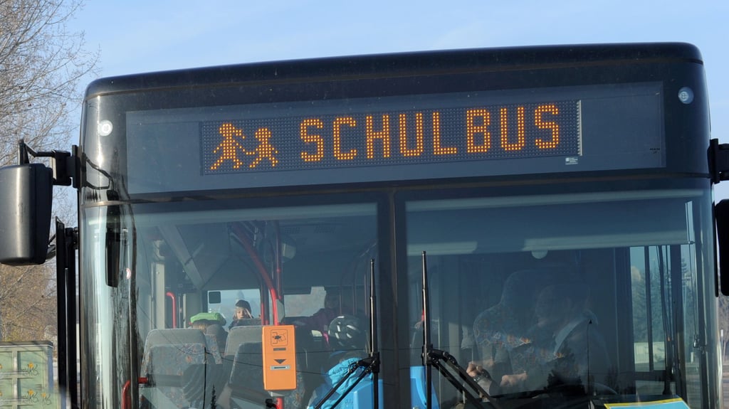 Bei einem Schulbus-Unfall in Hayn wurden mehrere Kinder verletzt.