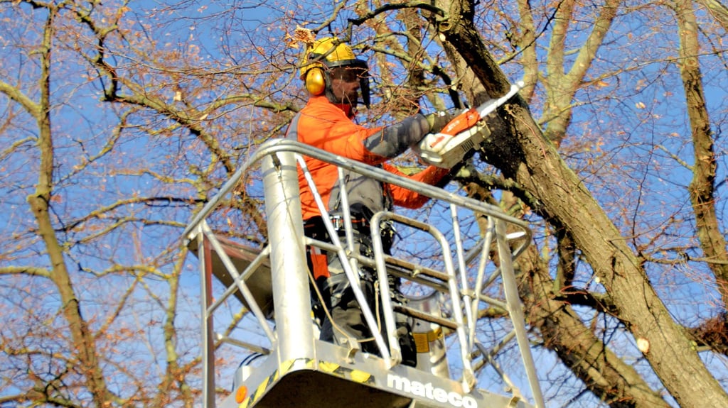 Vielfältige Arbeiten haben die Mitarbeiter des Bauhofes zu erledigen. Dazu gehört auch Windbruch zu beseitigen.