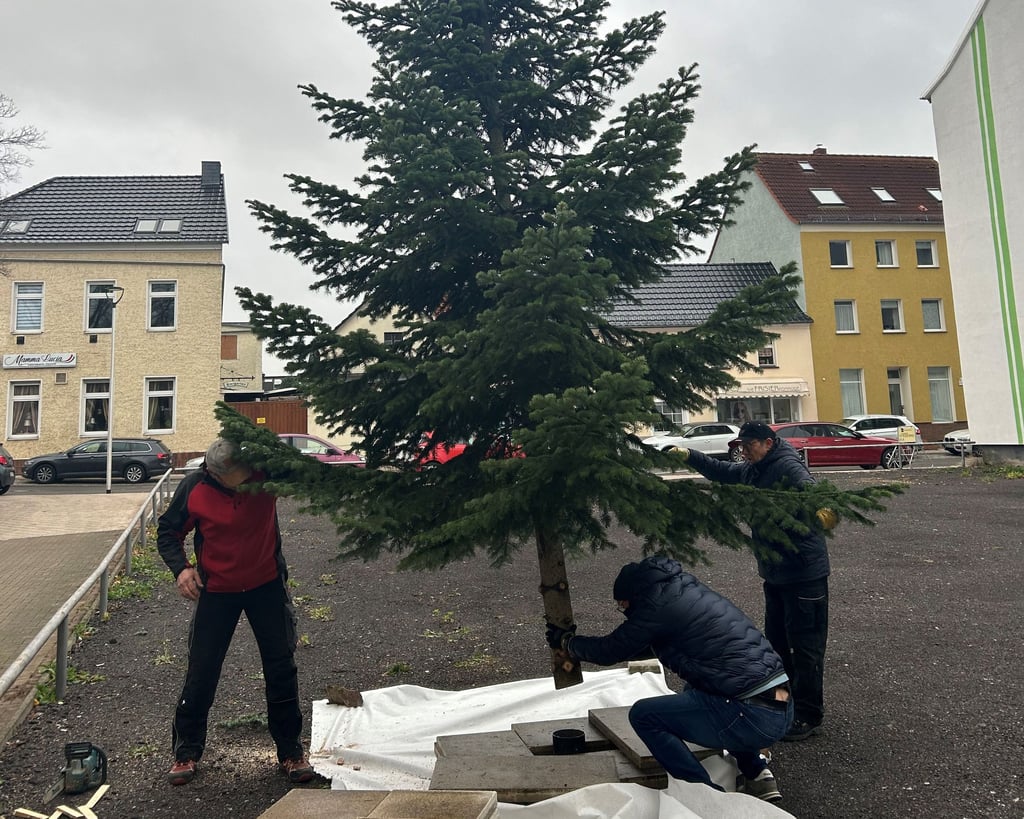 Viele helfende Hände und ein Autokran haben dafür gesorgt, dass der Weihnachtsbaum jetzt steht.