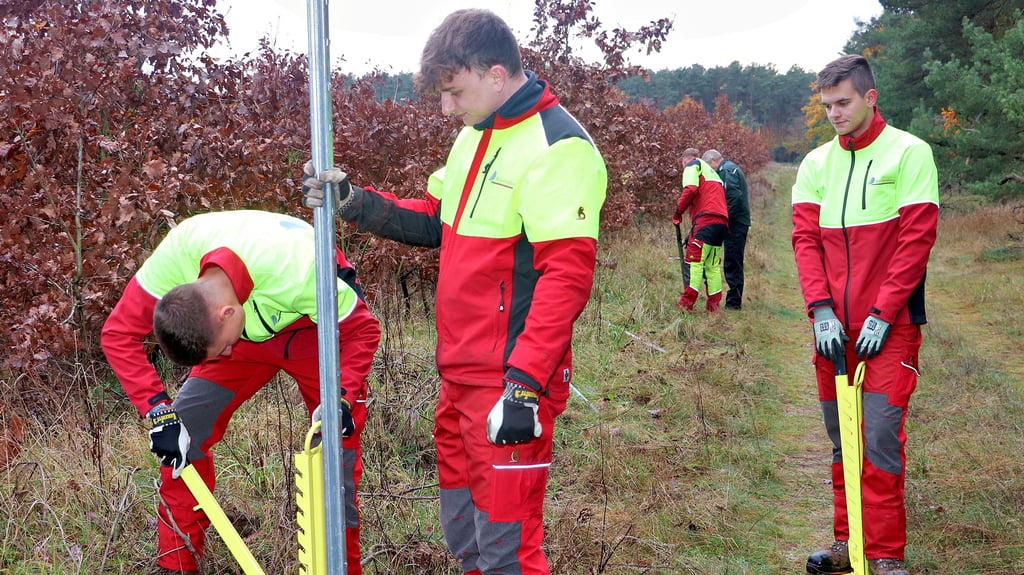 Ole Sandmann und Julius Wachsmuth (v. li.) ziehen mit Hilfe eines Pfähleziehers nicht mehr benötigte Zaunpfähle aus dem Boden. Rechts schaut Tristan Kruse den beiden zu.