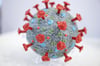 Modell des Corona-Virus