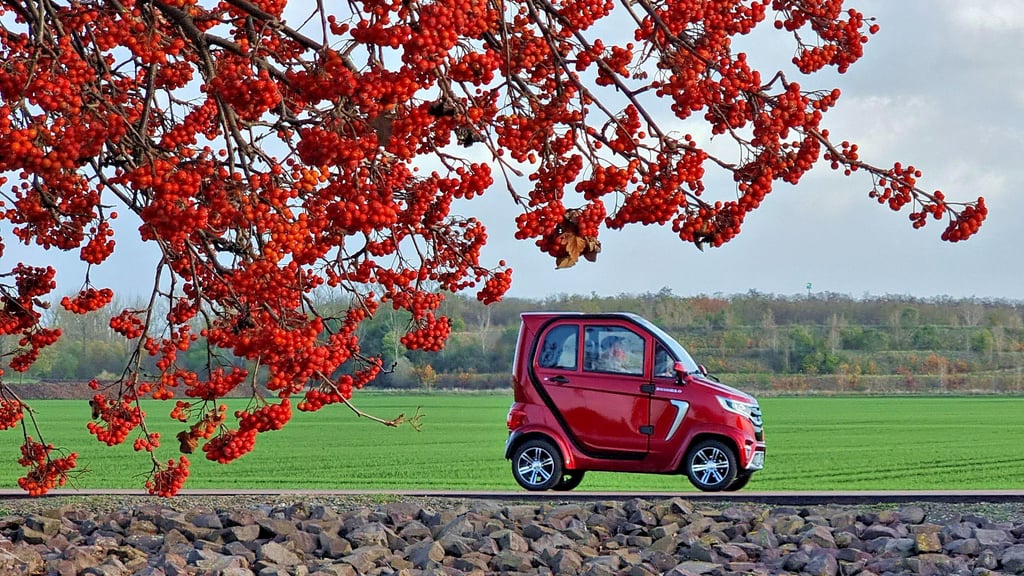 Microcars sind seit einiger Zeit in Aschersleben und im Seeland unterwegs. Sie sind eine Alternative zum klassischen Moped.