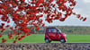 Microcars sind seit einiger Zeit in Aschersleben und im Seeland unterwegs. Sie sind eine Alternative zum klassischen Moped.