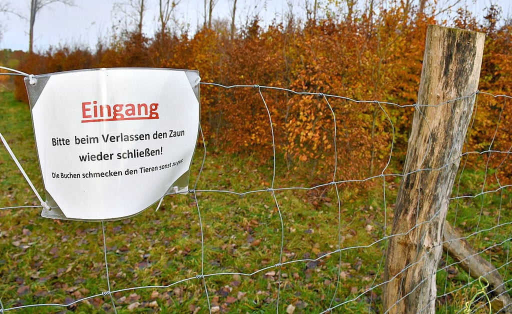 Am Eingang hängt ein Schild, mehr Werbung gibt es nicht.