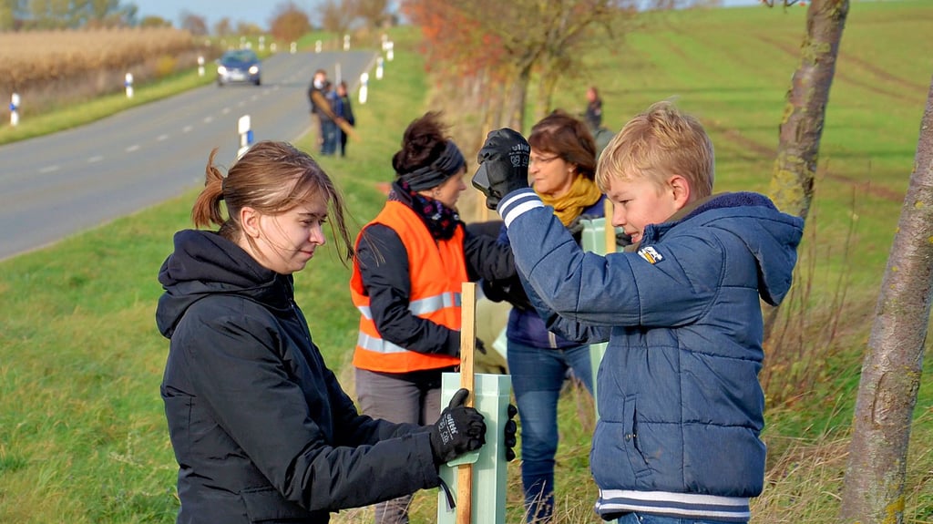Schüler des Staßfurter Dr.-Frank-Gymnasiums und Mitglieder des Fördervereins pflanzen zwischen Löderburg und Lust 60 Winterlinden-Setzlinge, die Andrea und Eric Maindok gesponsert haben.