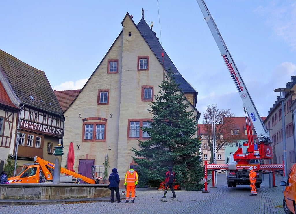 Knapp zehn Meter hoch ist der Baum, der von Privatleuten zur Verfügung gestellt wurde.