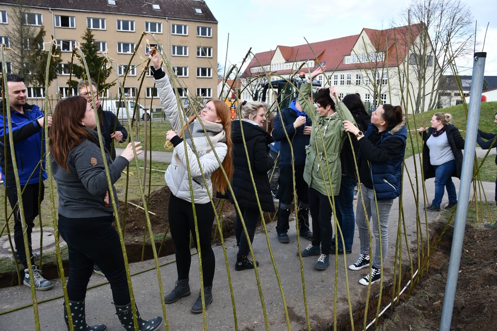 Ehrenamtliche kümmerten sich vor einigen Monaten um einen Weidentunnel für die kommunale Kita.