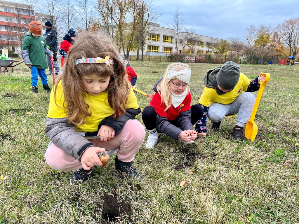 Die ältesten Kinder aus der Kita „Kleine Stifte“ steckten am Donnerstag Frühblüher-Zwiebeln auf den Randstreifen neben der Blühwiese im Wohngebiet Zepziger Weg.