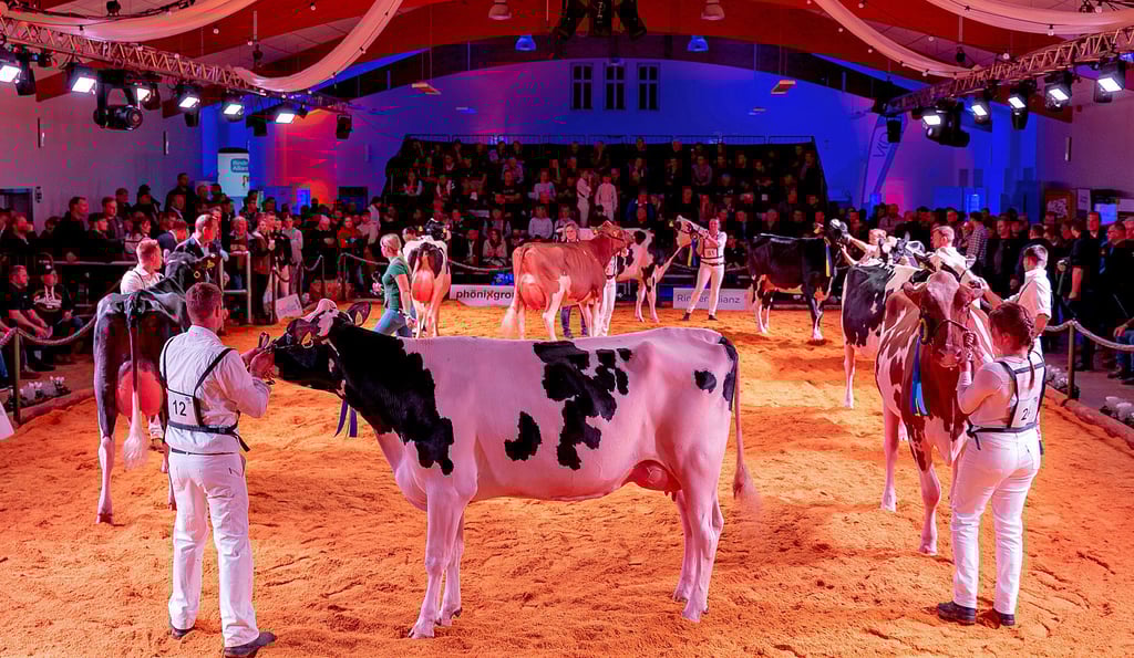 Im Rahmen der „HolsteinVision“ 2023, der Verbandsschau der RinderAllianz, erstrahlte am Donnerstag die Zuchtviehhalle in Bismark.