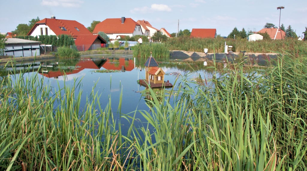 Hier einer der Speicherteiche. Aus denen führen Rohre wieder zurück zu den Grundstücken, sodass das gesäuberte Wasser dort als Gießwasser für die Gärten genutzt werden kann.