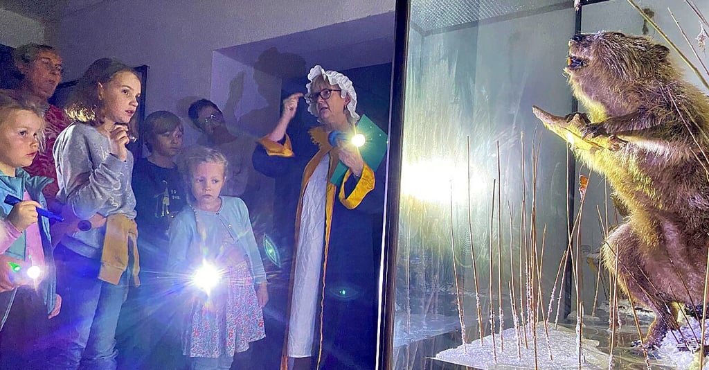 Mit der Taschenlampe werden die Geheimnisse erkundet.