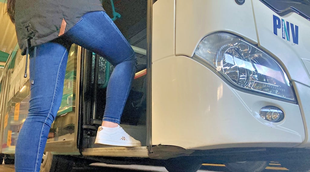 Eine junge Frau steigt in den Bus. Der Landkreis Lüchow-Dannenberg hat dafür drastisch die Preise gesenkt.