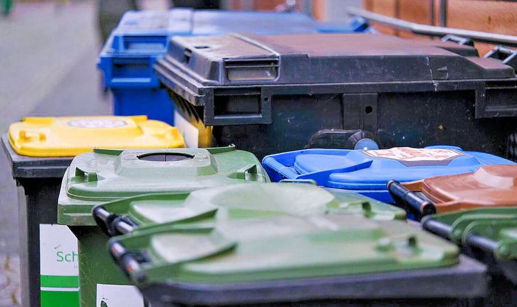 Schwarz, grün, gelb, blau, braun. Deutschland trennt.