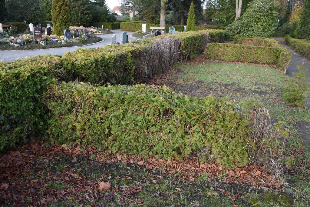 In den Heckengevierten neben dem bereits bestehenden, aber inzwischen gefüllten Urnenfeld (links) sollen künftig moderne Urnenbestattungen möglich sein.