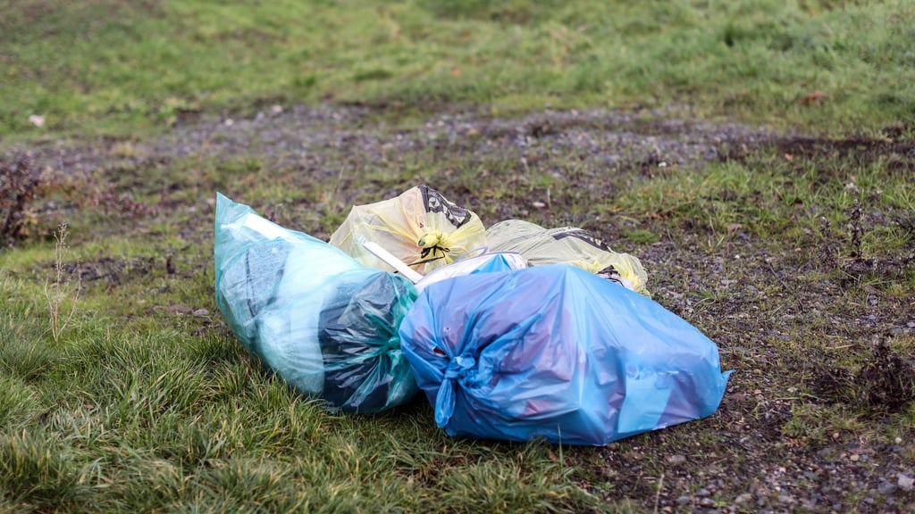 Mehrere Mülltüten liegen abseits einer Straße auf einer Wiese.