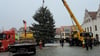 Der Stendaler Weihnachtsbaum 2023 wurde am Montag, 27. November, aufgestellt.