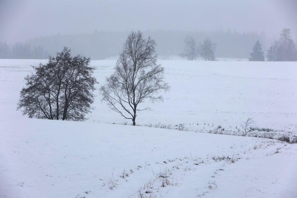 Schnee bedeckt die Landschaft in der Oberharzstadt Benneckenstein.