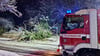 Im Raum Nietleben musste die Feuerwehr ausrücken, weil ein Baum umgestürzt und in eine Telefonleitung gestürzt ist.