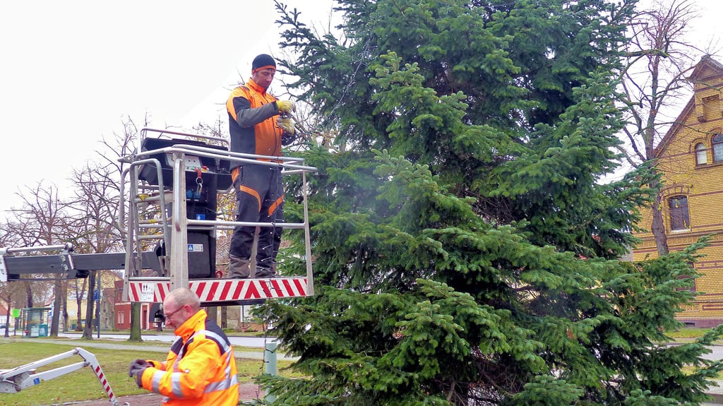 Am Baum auf dem Wolfener Markt wird die Beleuchtung von Jens Goßmann (auf der Hebebühne) und Thomas Spengler angebracht.