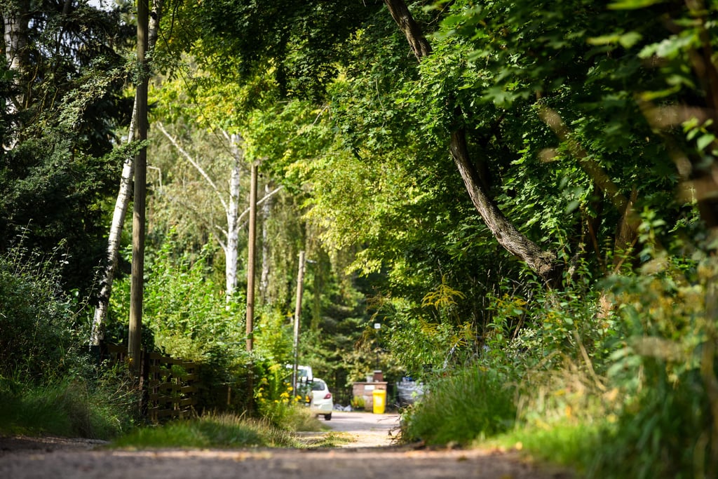 Blick in den Wildentenweg. Die Archivaufnahme zeigt die grüne Oase. Hier müssen Bäume Häusern weichen.