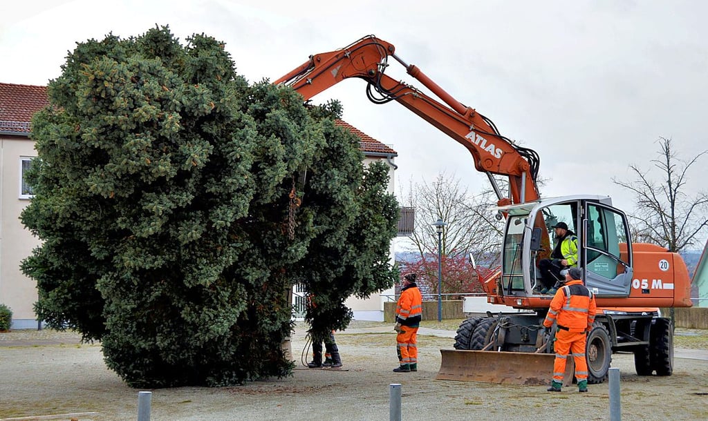 Der Weihnachtsbaum ist da: Mitarbeiter des Hohenmölsener Bauhofs stellen eine Blauflichte auf dem Platz des Bergmanns auf.