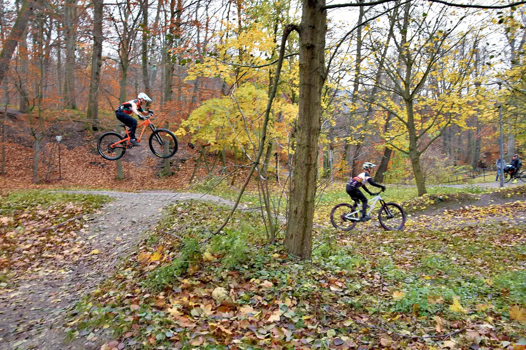 Die Jungs vom Verein Bad Bikers MTB-Sport trainieren regelmäßig im Ilsetal in Ilsenburg.