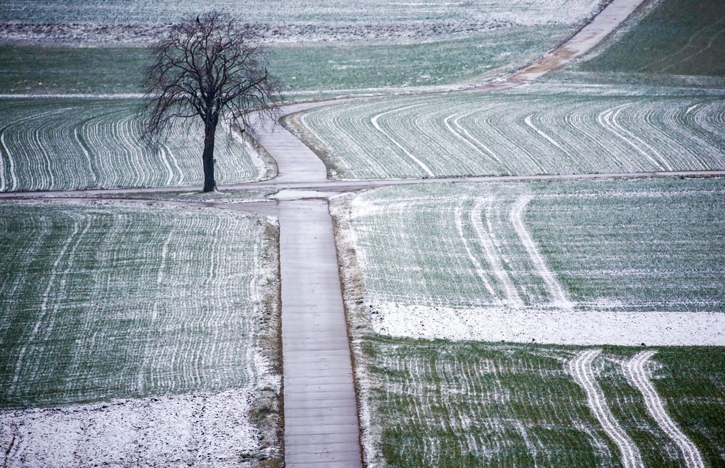 Schnee liegt am Morgen auf Feldern.