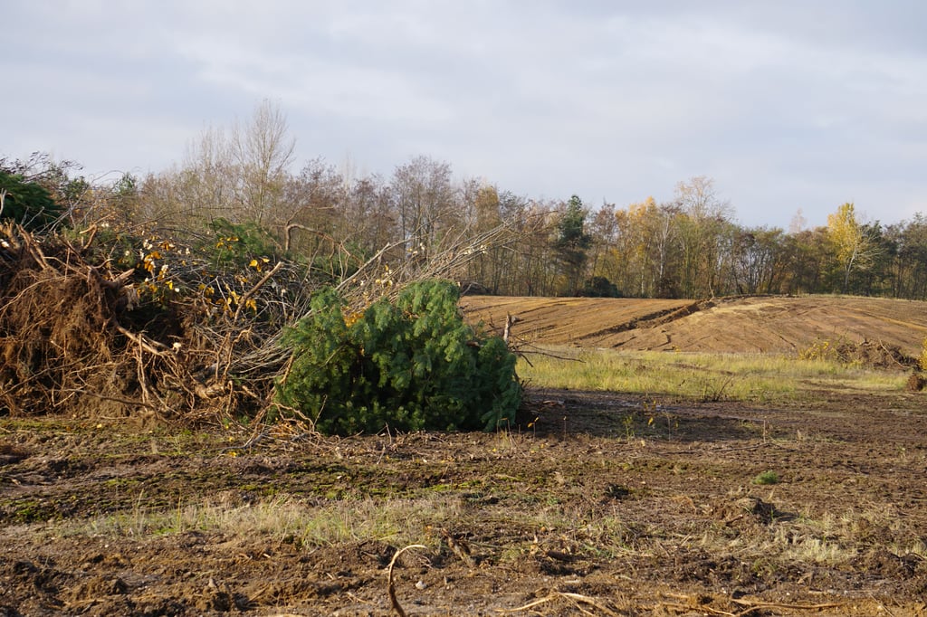 Die Arbeiten im Ramsiner Kieswerk sind vorerst gestoppt.