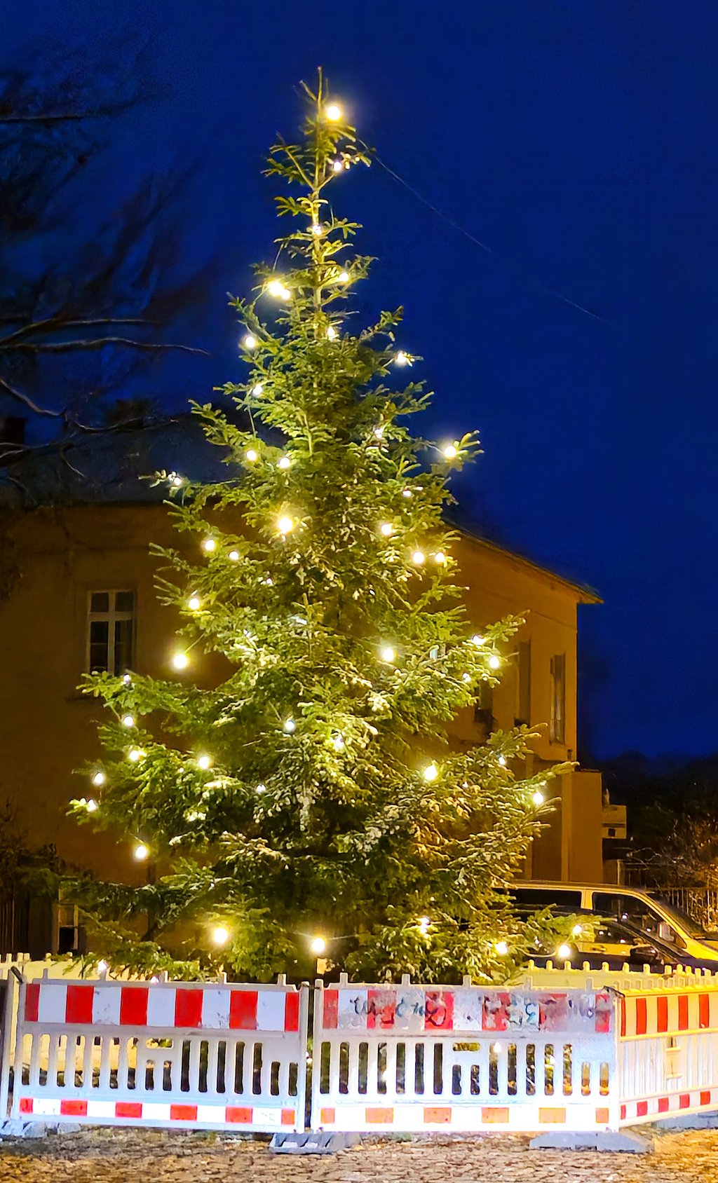 Mit etwas Schnee bedeckt ist er sogar, der Tannenbaum für den diesjährigen Weihnachtsmarkt, der gestern auf der Schloßfreiheit aufgestellt wurde.