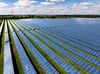 Große Photovoltaikflächen für den Sonnenstrom