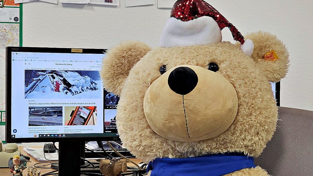 Unser Redaktionsteddy wird aktiv und ist auf der Suche nach spannenden Geschichten für unseren MZ-Adventskalender.