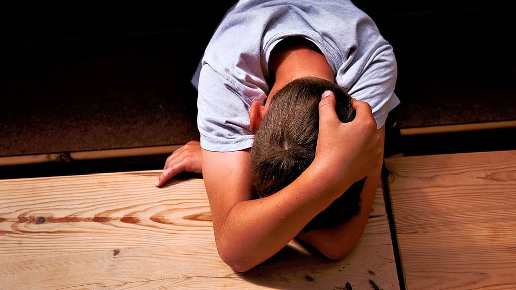 Die letzten Monate vor der Schule seien für einen Jungen aus dem Harz zum Alptraum geworden, berichten seine Eltern.