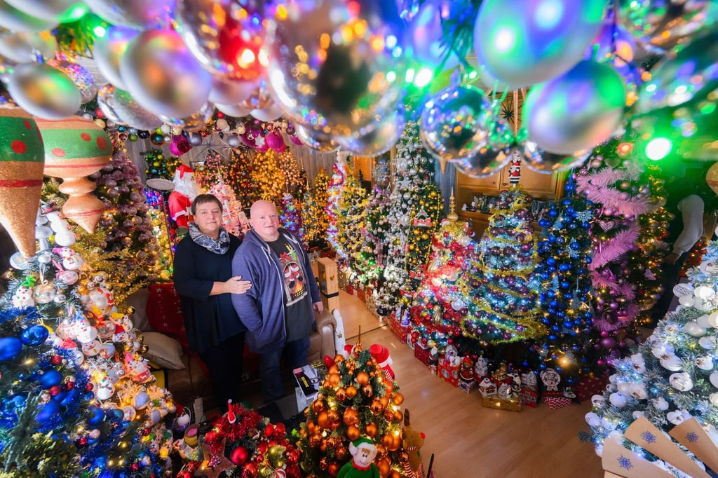 Susanne und Thomas Jeromin stehen inmitten von Weihnachtsbäumen im Wohnzimmer ihres Hauses.