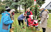    Seit zehn Jahren dekorieren Frauen  aus  Kleinhelmsdorf  kurz vor dem 1. Advent an der Eisenberger Straße  des Dorfes das Areal um den alten Brunnen.  