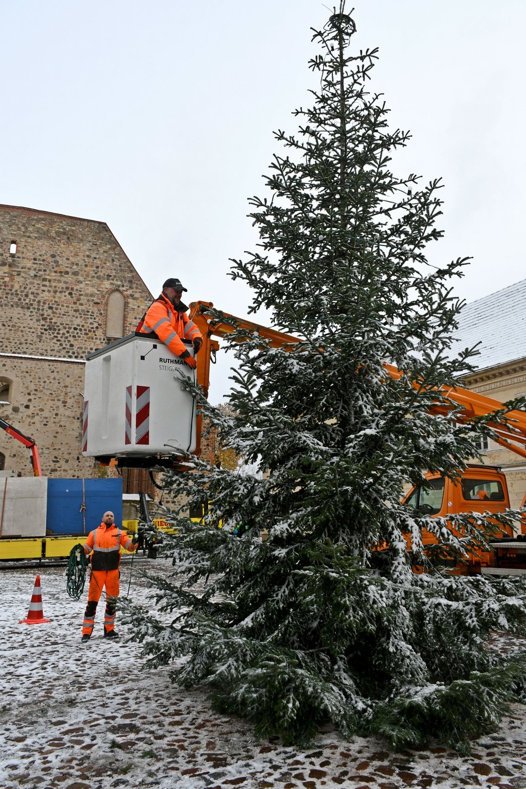 Weihnachtsbaum für den Zerbster Weihnachtsmarkt auf der Schloßfreiheit aufgestellt: Eike Dennstedt und Sebastian Fonfara bringen die Lichterkette an.