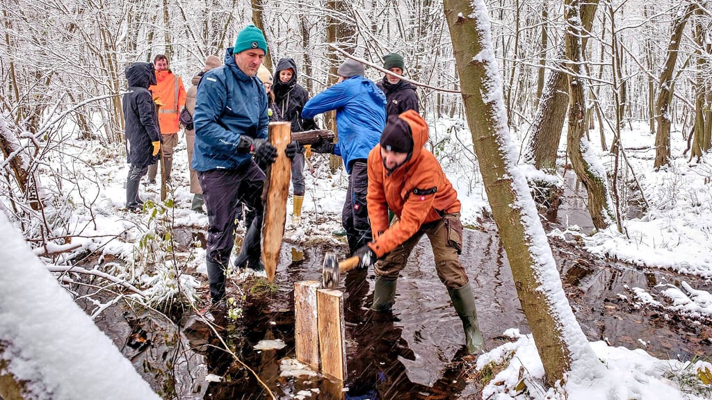 Mit dem Hammer werden Bohlen in die Entwässerungskanäle getrieben. Diese sollen das Wasser im Moor halten.