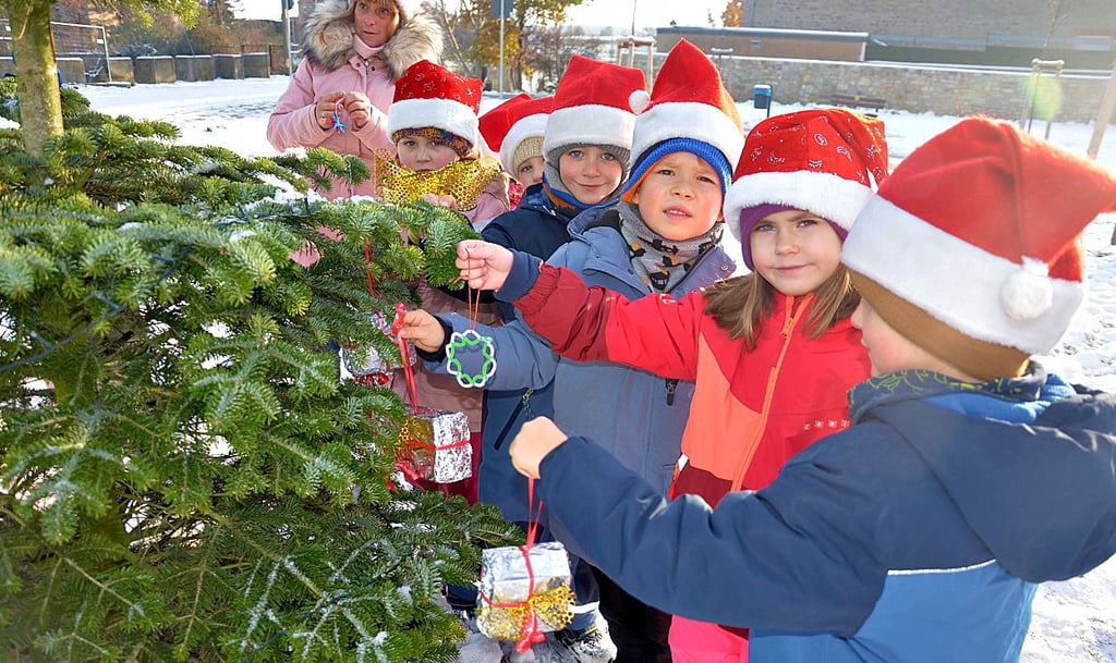 Die Mädchen und Jungen der Kita „Gänseblümchen“ haben für den Weihnachtsbaum auf dem Neumarkt extra Schmuck gebastelt.