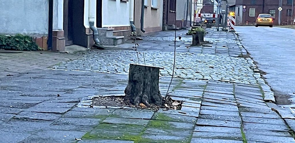 Seit Mitte November wird der Gehweg in der Luxemburgstraße saniert – allerdings nicht in vollem Umfang wie geplant.