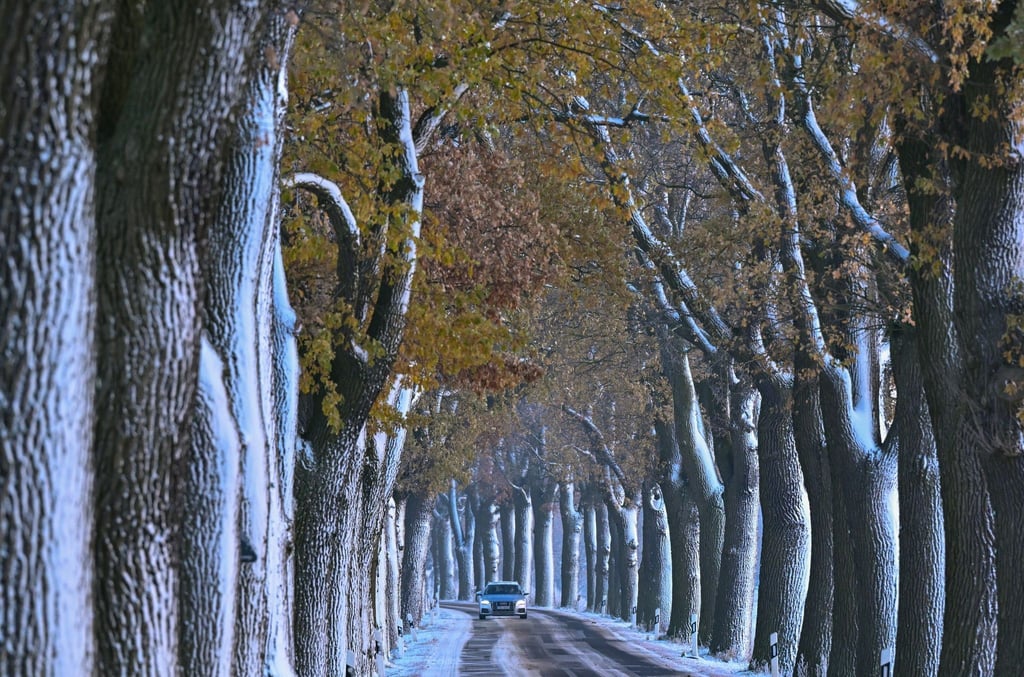 Ein Pkw fährt auf einer winterlich verschneiten Allee im Landkreis Oder-Spree im Osten des Landes Brandenburg.