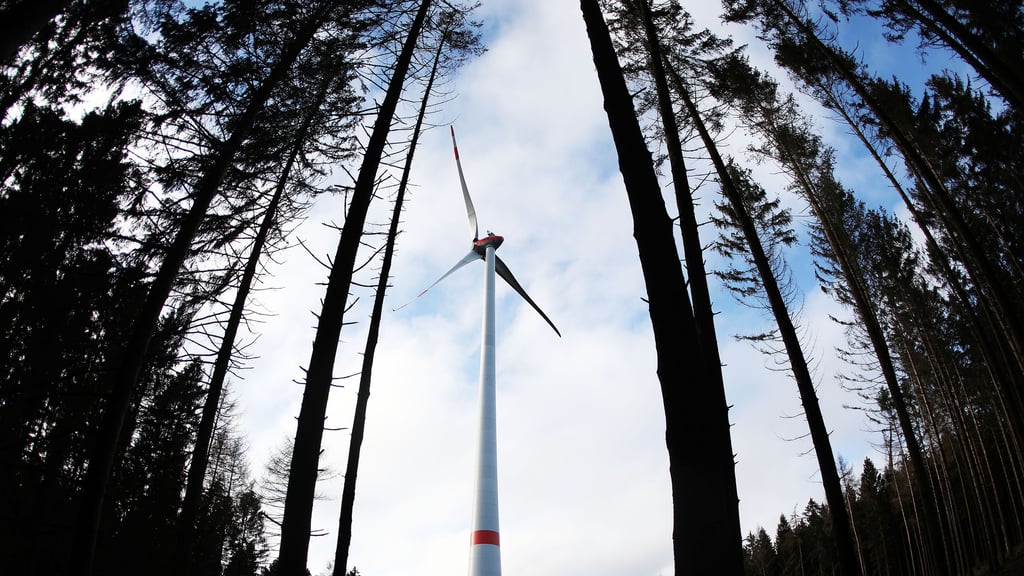 Symbolfoto - Die Frage nach Windrädern in Waldgebieten wird heiß diskutiert und beschäftigt die Bürger, wie sich jüngst in der Südharz-Ratssitzung zeigte.