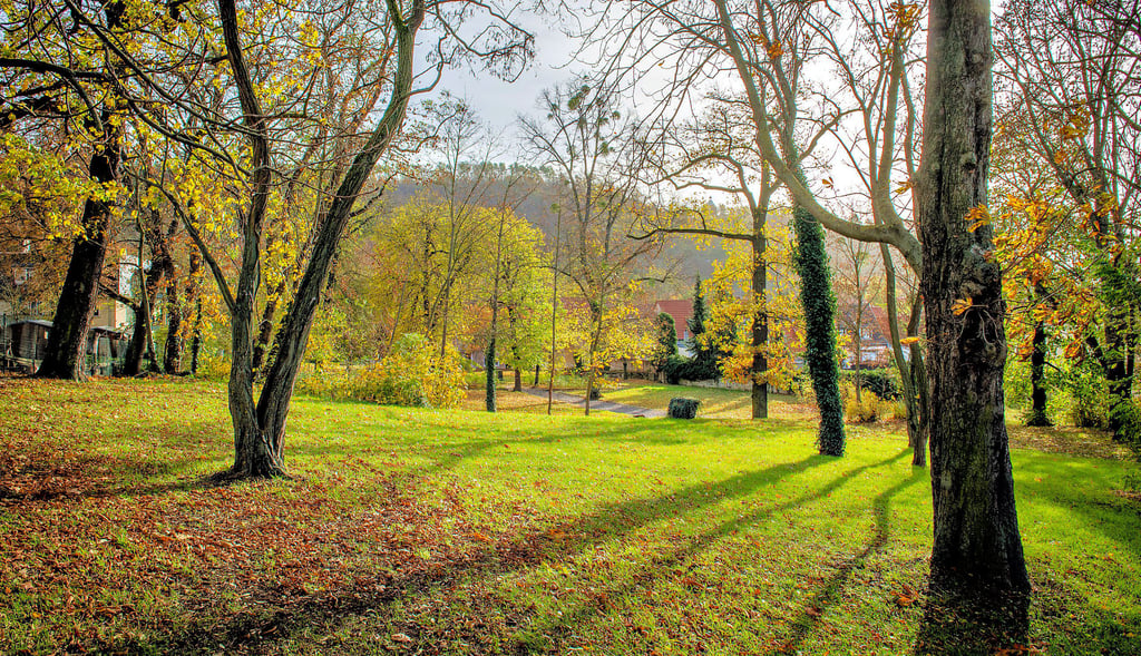 Der Freyburger Schomburgkpark: Das Areal soll in den nächsten Jahren umgestaltet werden.