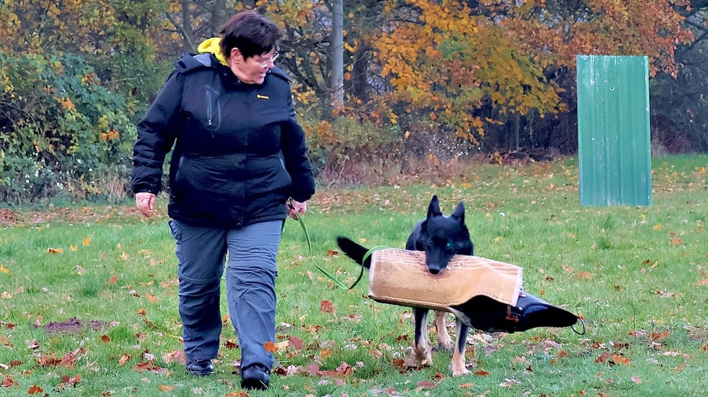 Heike Vollmert aus Derben ist gern mit ihrer Schäferhündin „Nelly vom Kretzschauer Land“ zum Training für Schutzhunde in Havelberg.