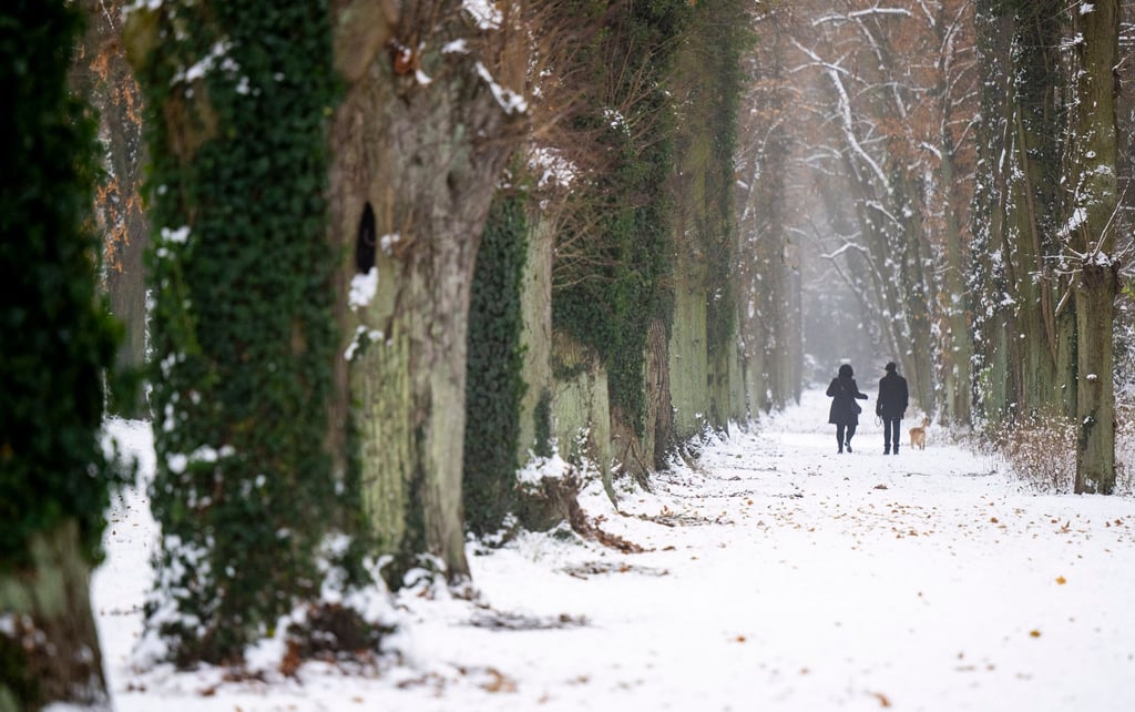 Ein Paar mit einem Hund spaziert bei winterlichem Wetter durch den verschneiten Park Sanssouci.