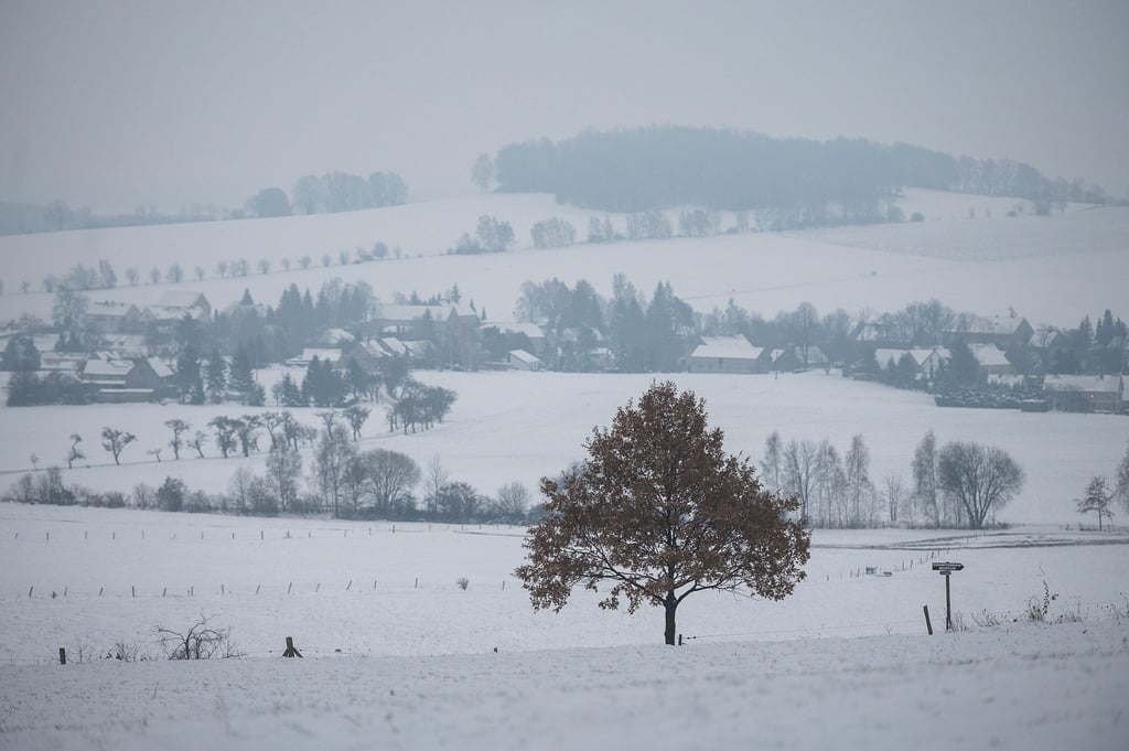 Winterladnschaft bei Königshain.