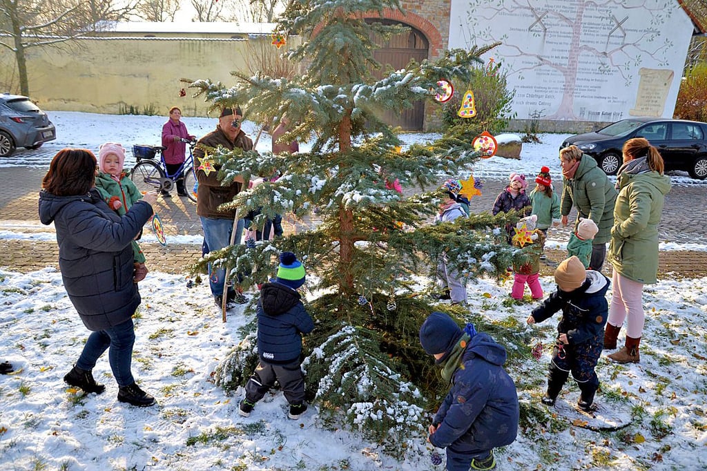 Viele Mädchen und Jungen, die Betreuerinnen und Claus Mierke packen beim Schmücken des Weihnachtsbaums in Schwaneberg mit an.