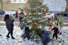 Viele Mädchen und Jungen, die Betreuerinnen und Claus Mierke packen beim Schmücken des Weihnachtsbaums in Schwaneberg mit an.