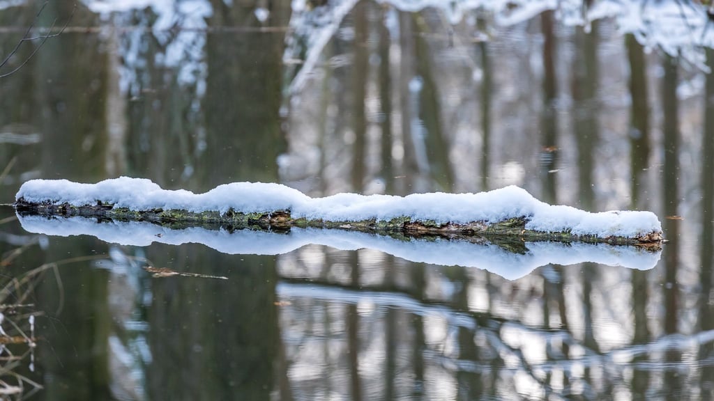 Ein mit Schnee bedeckter Ast liegt in einem Fließ.