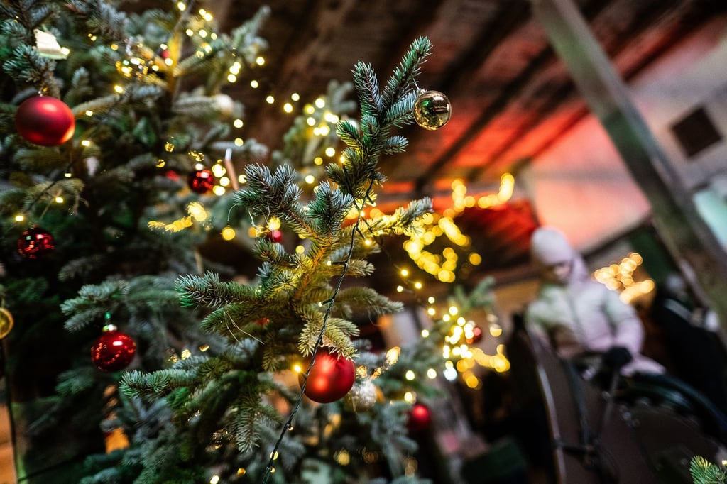 Ein geschmückter Weihnachtsbaum leuchtet auf dem Adventsmarkt im Vollblutgestüt.