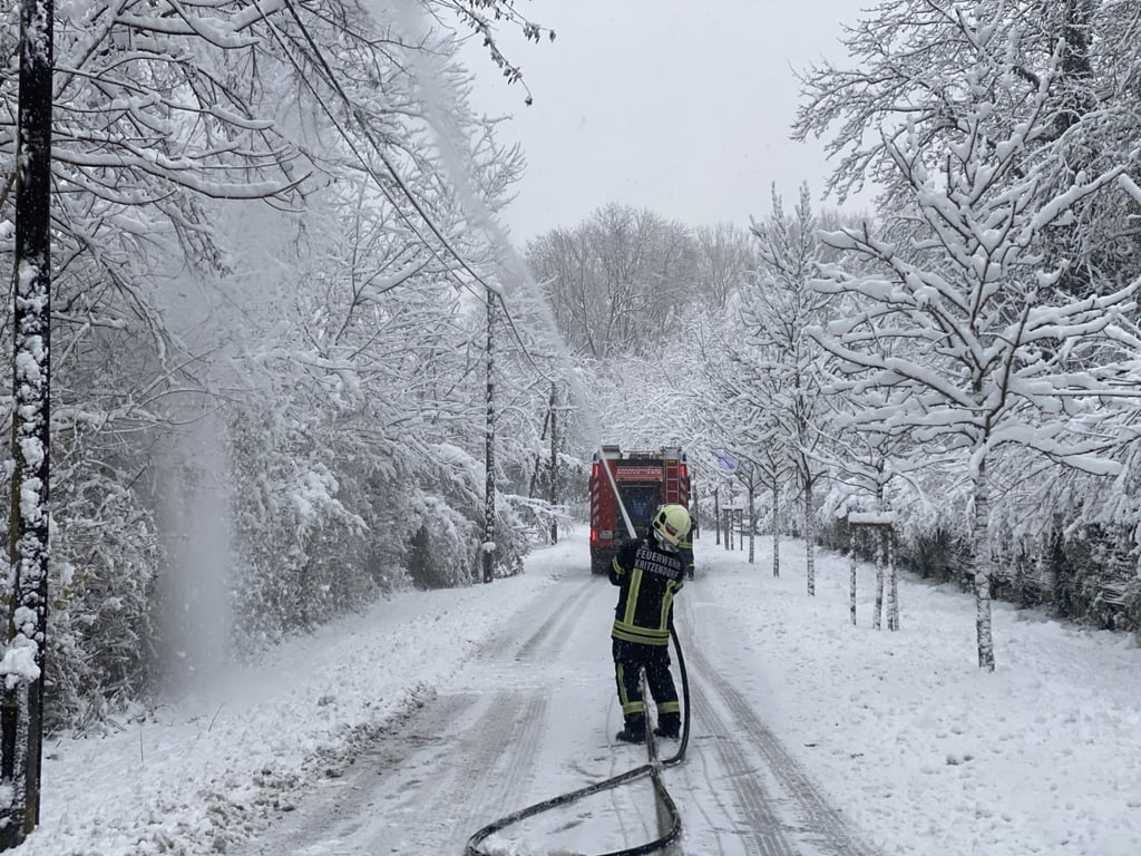 Kräfe der Feuerwehr im Einsatz in Kritzendorn, um Stromleitungen vor herabfallenden Ästen zu schützen.